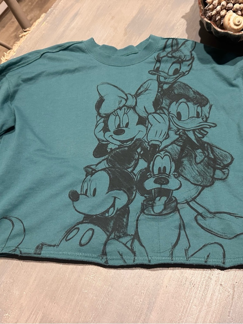 Disney Mickey Friends Character Crewneck Soft Fleece Teal Green Crop Sweatshirt